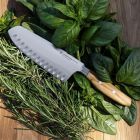 Faca Santoku com Sulcos Amici 7" - Wüsthof
